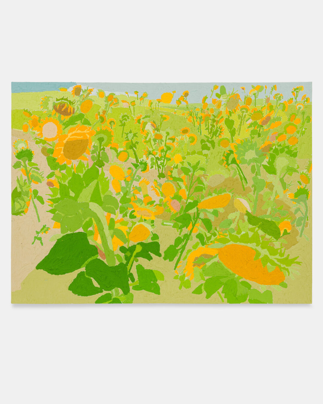 TOURNESOLS-1-V4