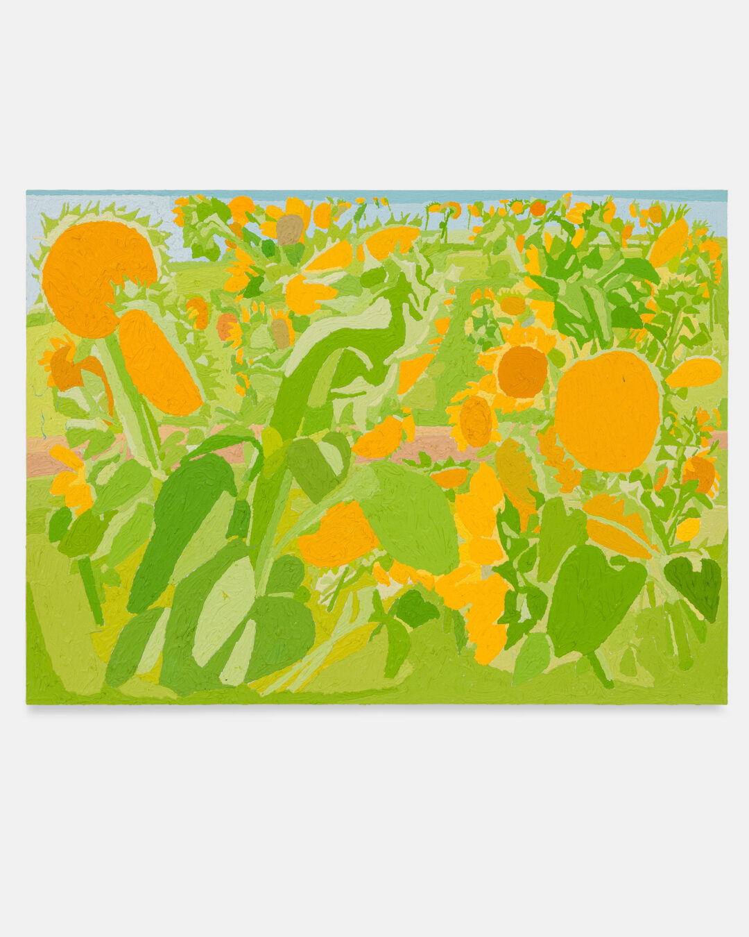 TOURNESOLS-2-V2
